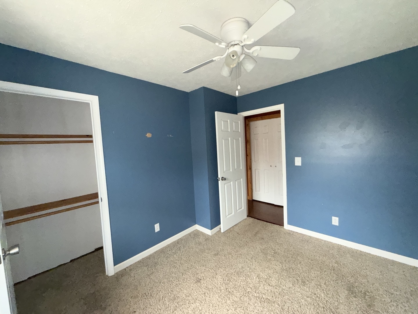 1311 Whisper Way Benton, IL 62812 - Photo 20 of 33