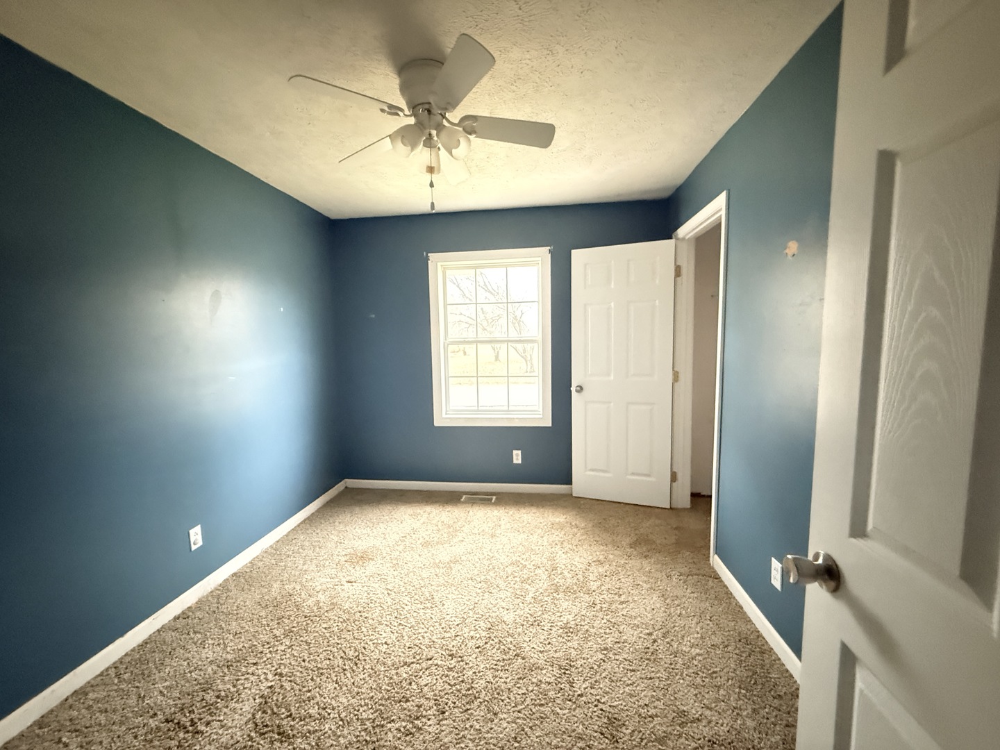 1311 Whisper Way Benton, IL 62812 - Photo 26 of 33