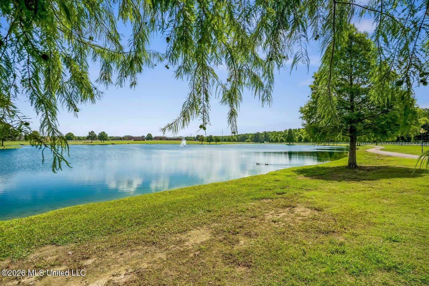 13240 Old Locke Road Olive Branch, MS 38654 - Photo 28 of 28 3142931mi-32-13240 Old Locke Rd