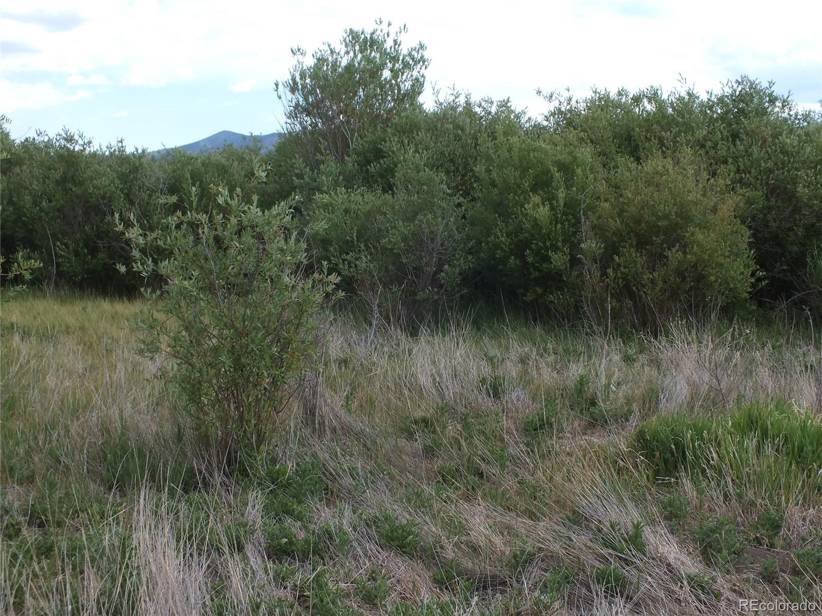 0 Casey Road Fort Garland, CO 81133 - Photo 5 of 11 a view of a lush green forest with lots of trees