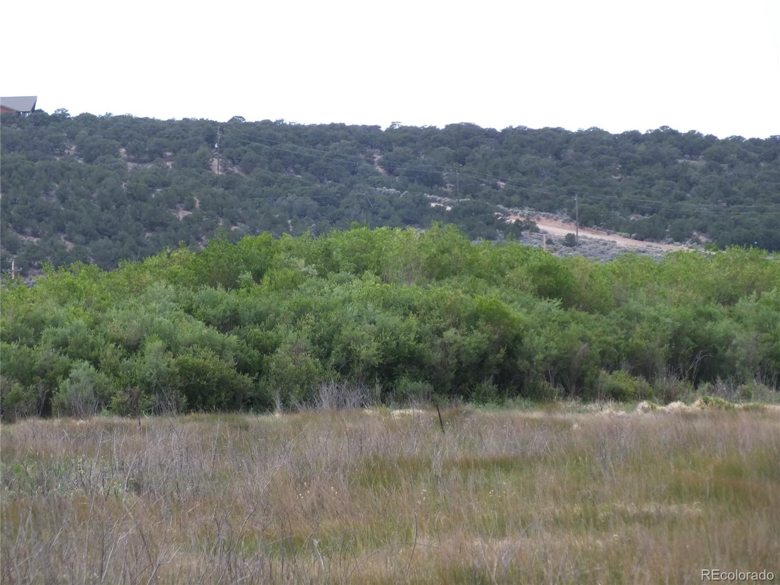 0 Casey Road Fort Garland, CO 81133 - Photo 7 of 11 a view of a lush green field