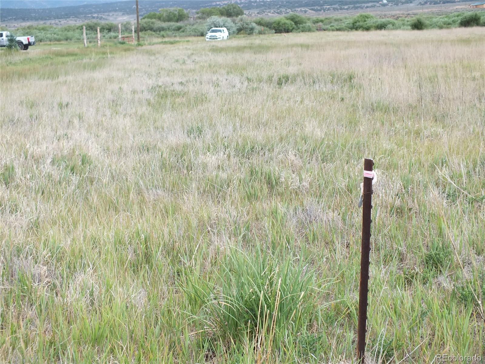 0 Casey Road Fort Garland, CO 81133 - Photo 8 of 11 a view of a yard with an trees