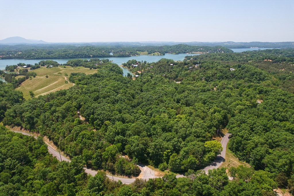 11 Black Oak Ridge Road Sevierville, TN 37876 - Photo 3 of 6