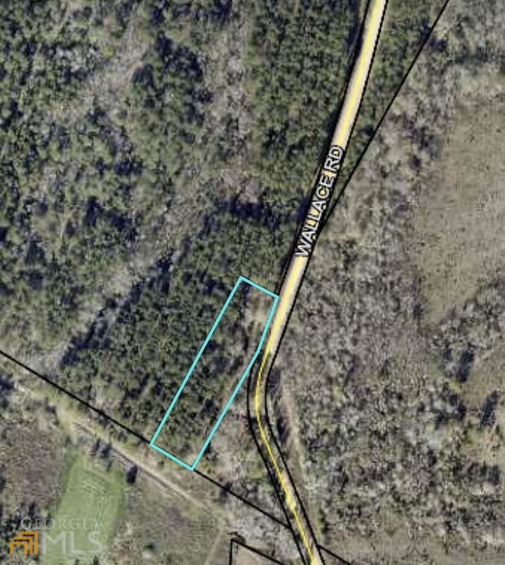 0 Wallace Road Millen, GA 30442 - Photo 1 of 1 Gallery Image 1