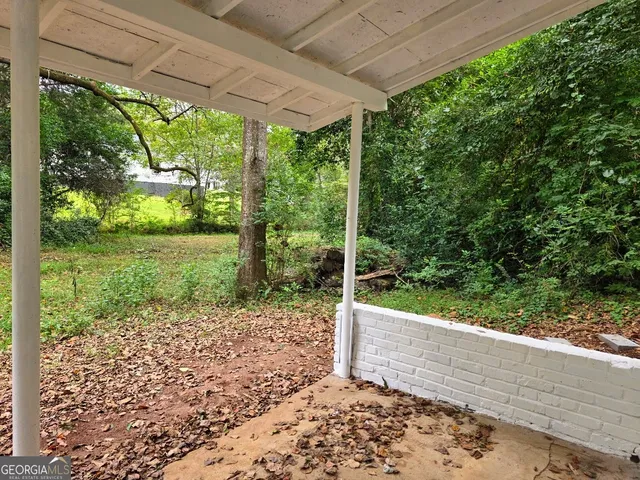 a view of a yard with plants and large tree