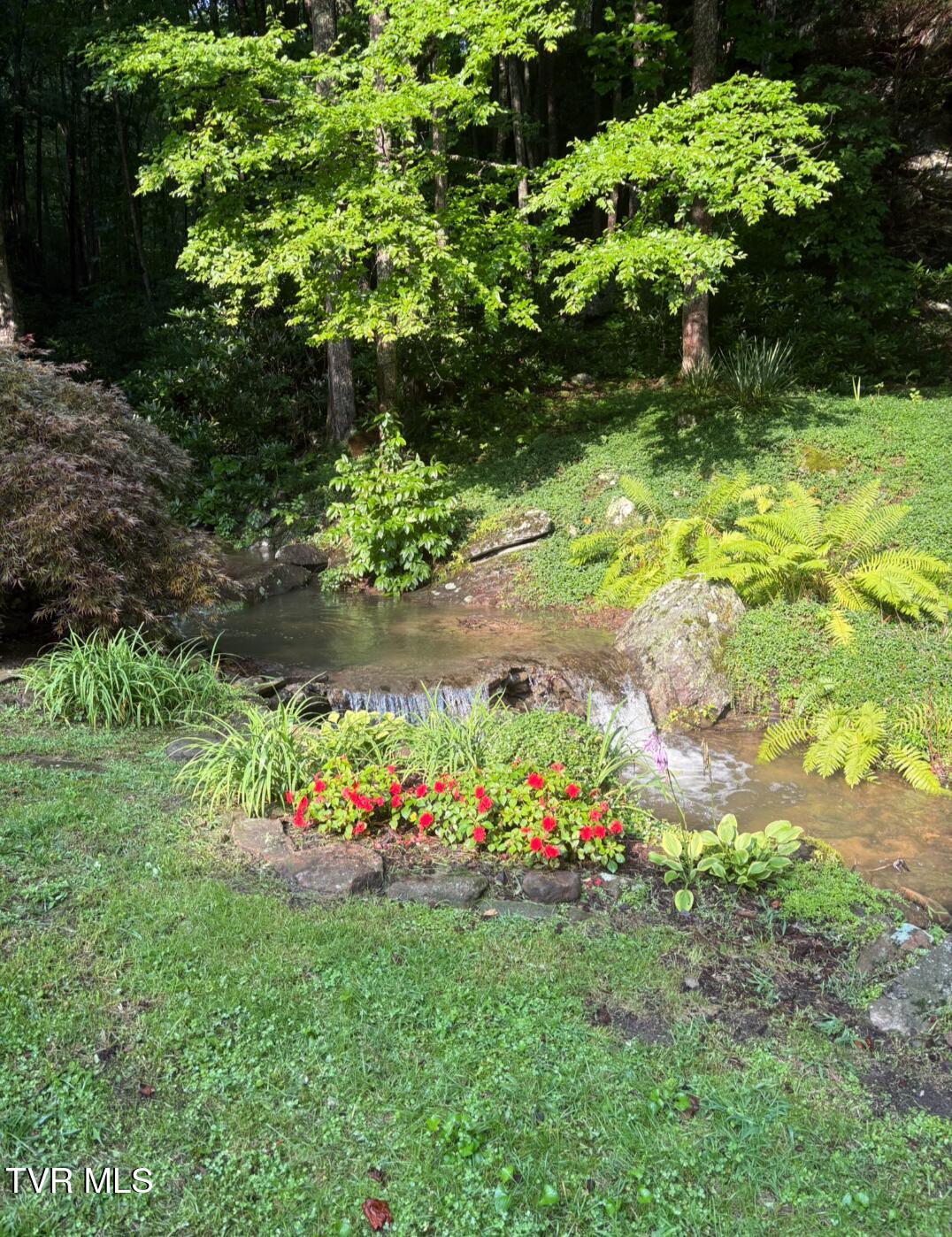 556 Racking Rock Road Clintwood, VA 24228 - Photo 34 of 56 10150