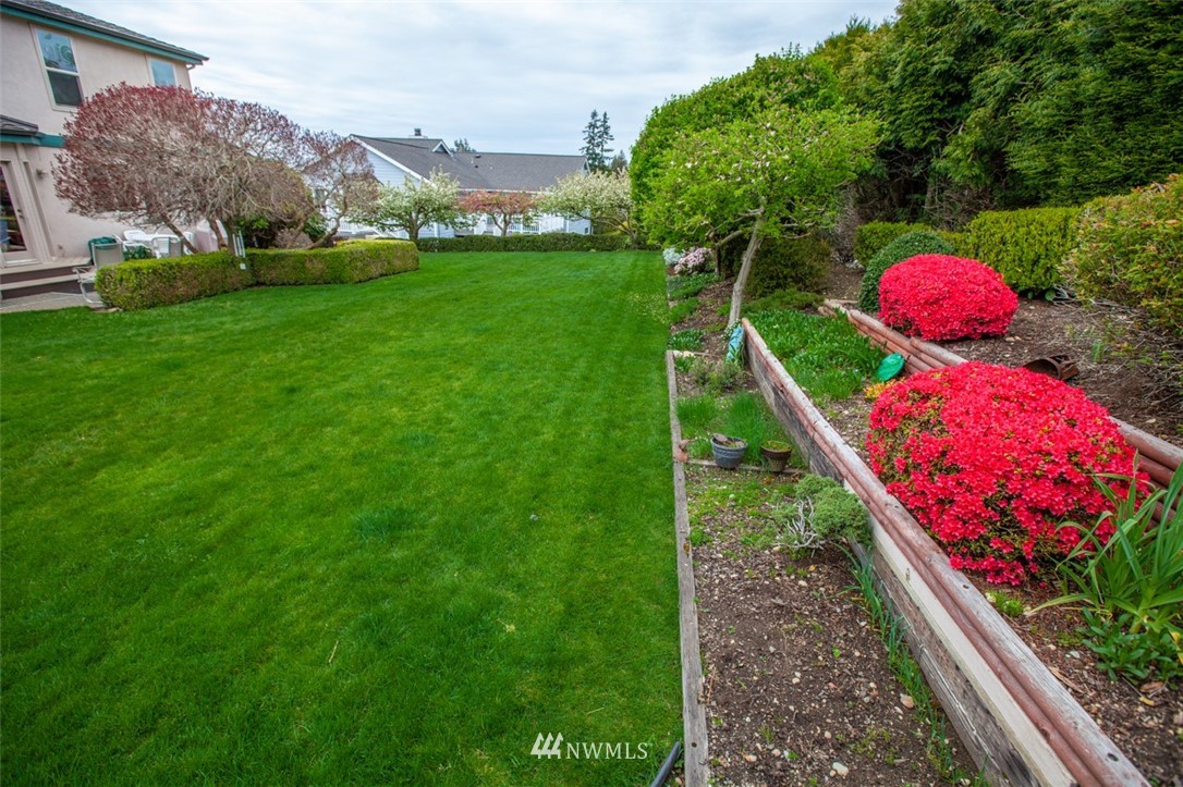 609 Briar Road Bellingham, WA 98225 - Photo 40 of 40 a view of a yard with plants and large trees