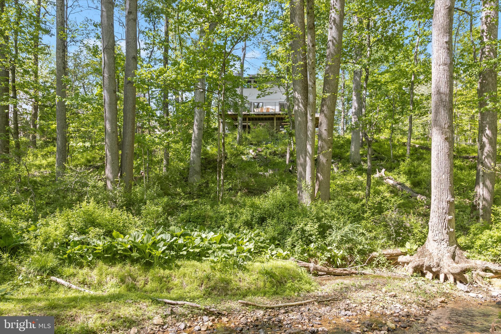 927 Buckhorn Road Sykesville, MD 21784 - Photo 95 of 147 3.84 Acres