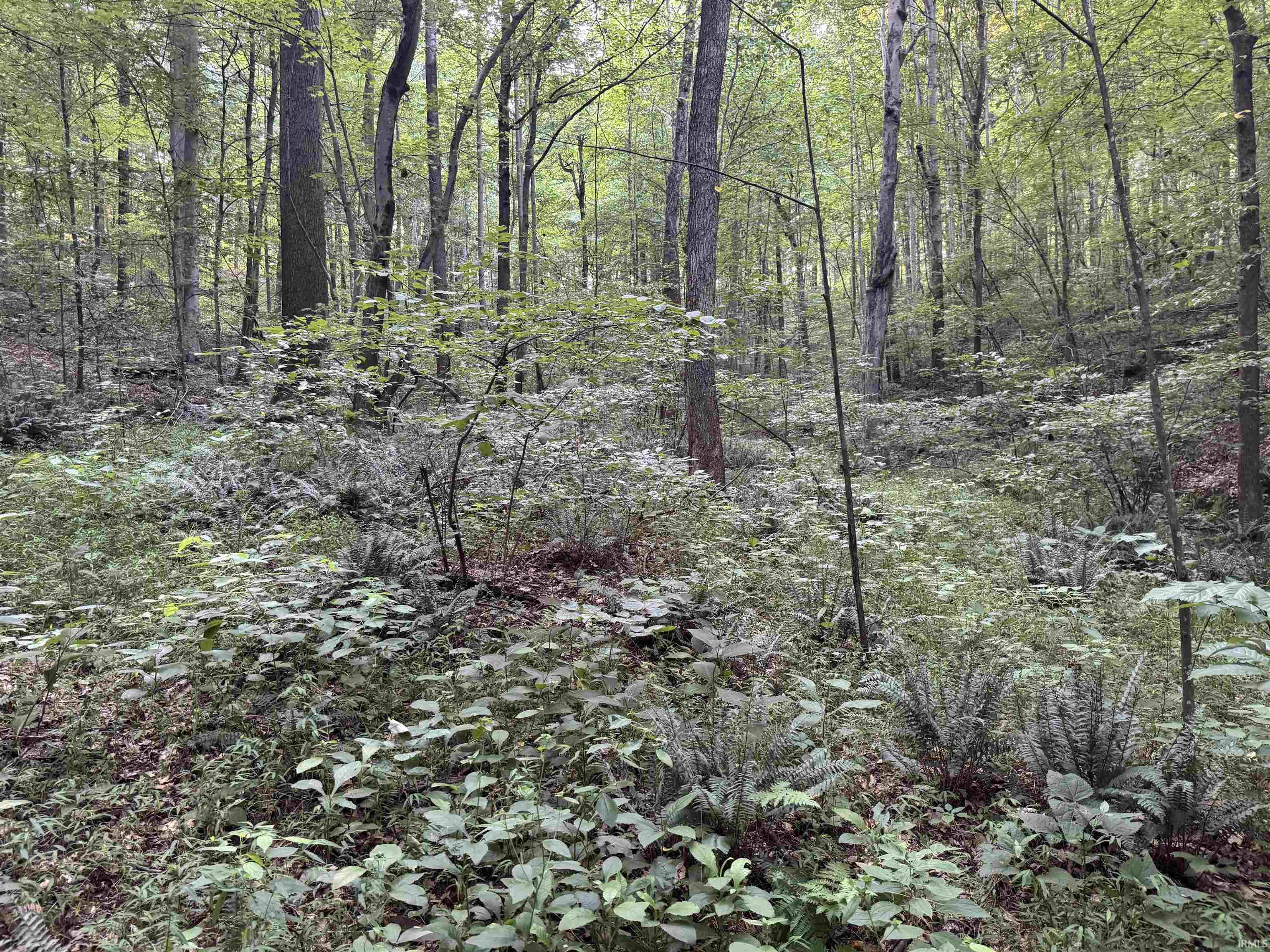 Brushy Fork Road Tell City, IN 47586 - Photo 47 of 47 Gallery Image 47