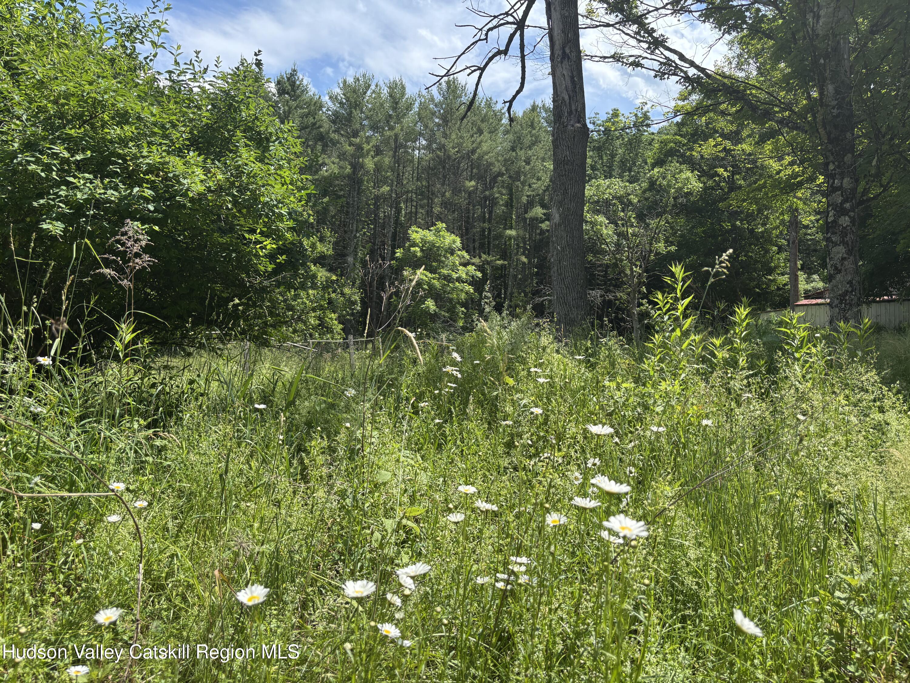 344 Pleasant Valley Road Fultonham, NY 12071 - Photo 23 of 27 Meadows