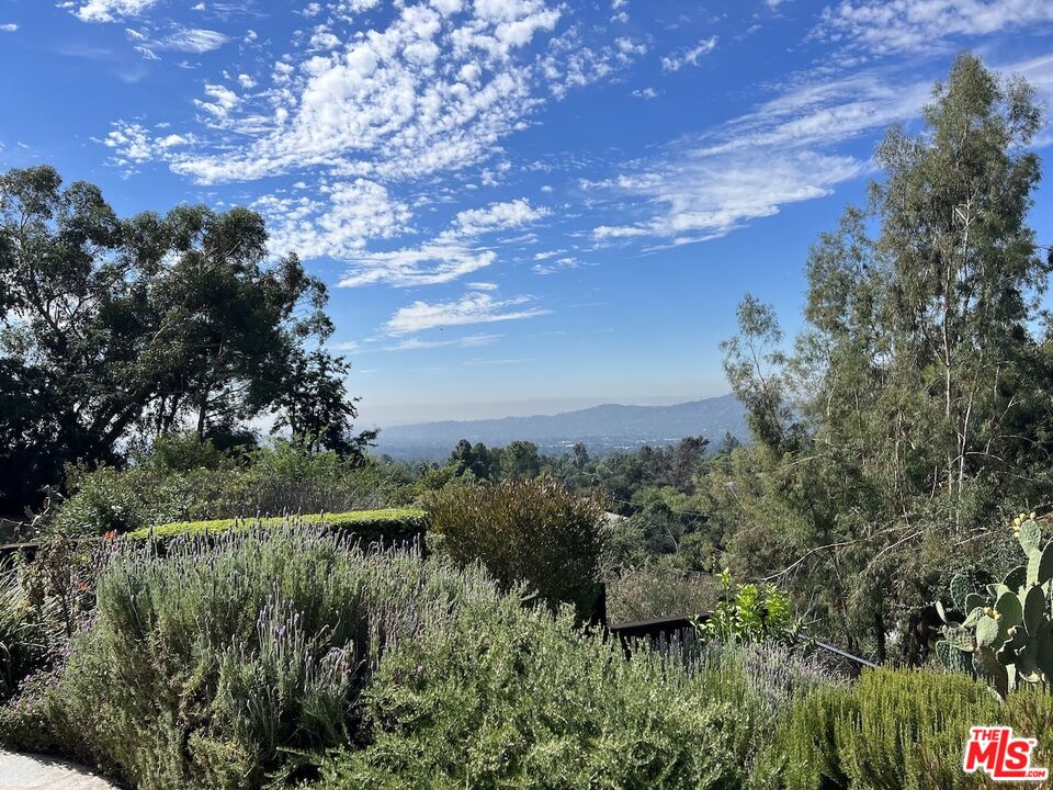 243 Taos Road Altadena, CA 91001 - Photo 3 of 32 a view of a garden with plants and large trees