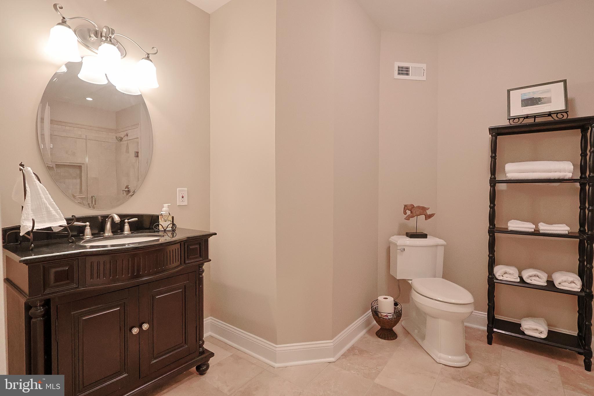 22 Pheasant Run Road New Hope, PA 18938 - Photo 33 of 40 Basement Full Bath