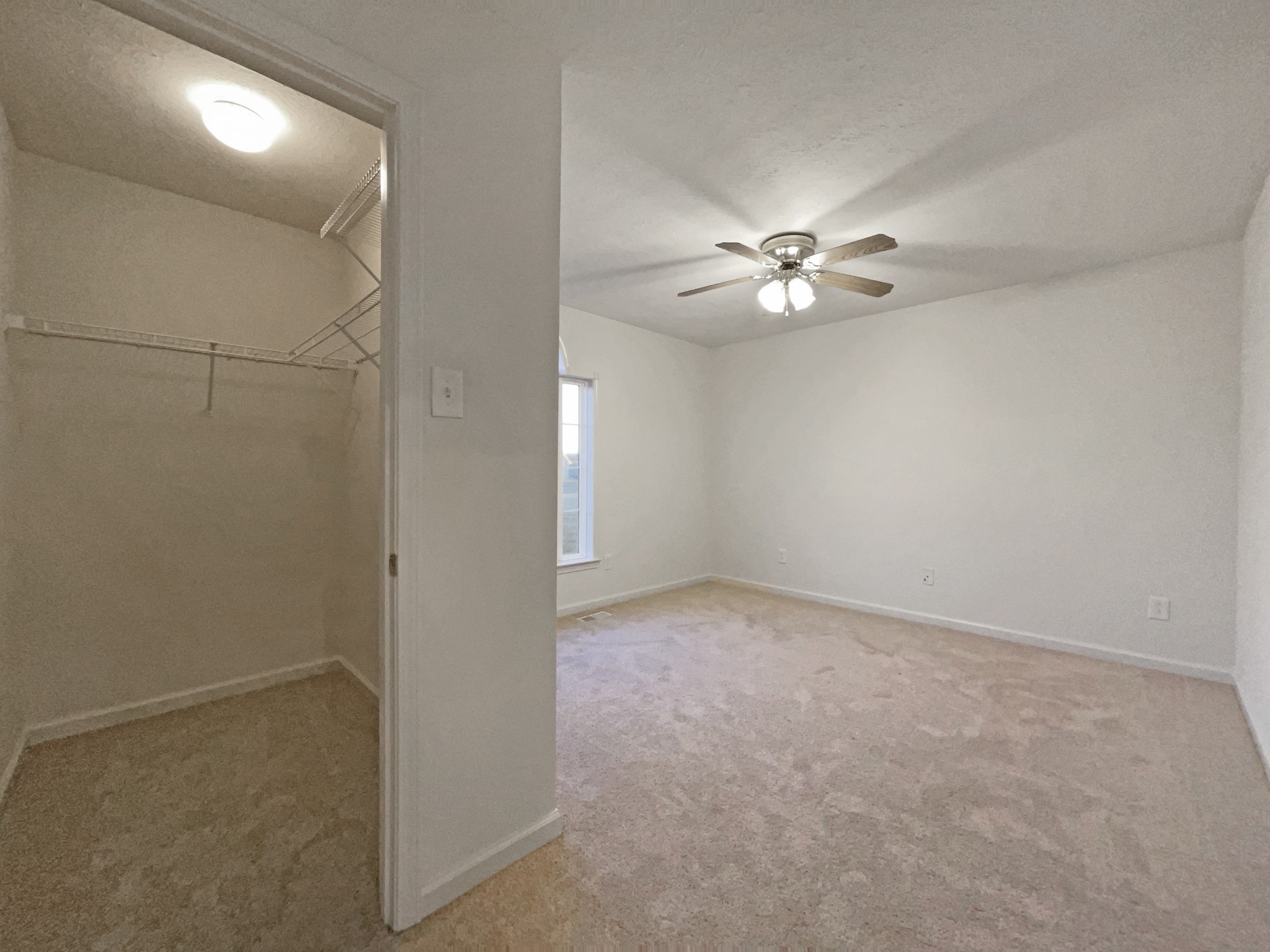 4396 Logan Road Chapel Hill, TN 37034 - Photo 13 of 17 Gallery Image 13