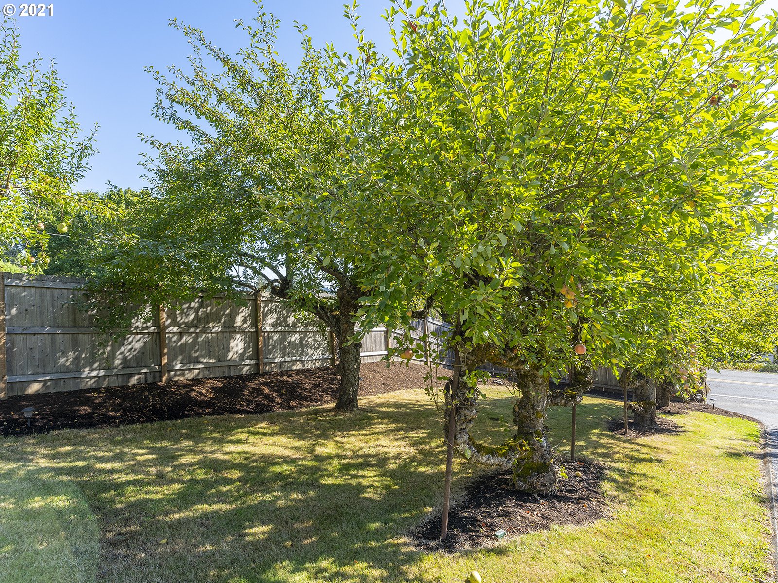 8537 Southeast Barbara Welch Road Portland, OR 97236 - Photo 25 of 32