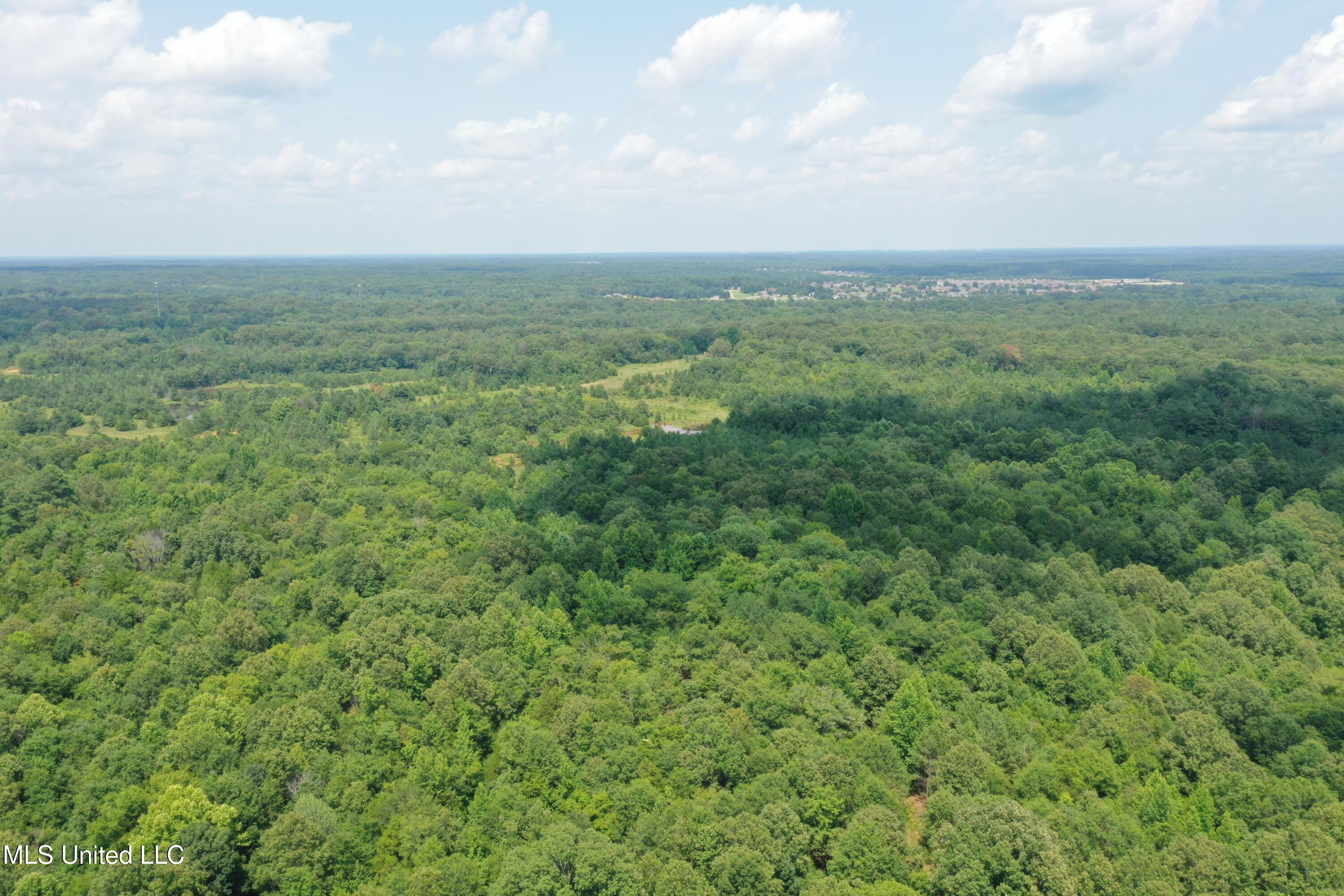 3466 Bethel Road Olive Branch, MS 38654 - Photo 9 of 86 DJI_0194