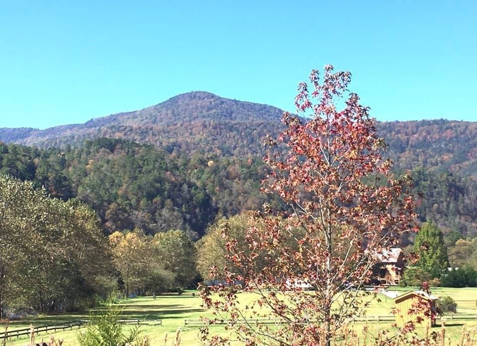 893 Tellico Reliance Road Reliance, TN 37369 - Photo 28 of 30 Gallery Image 28