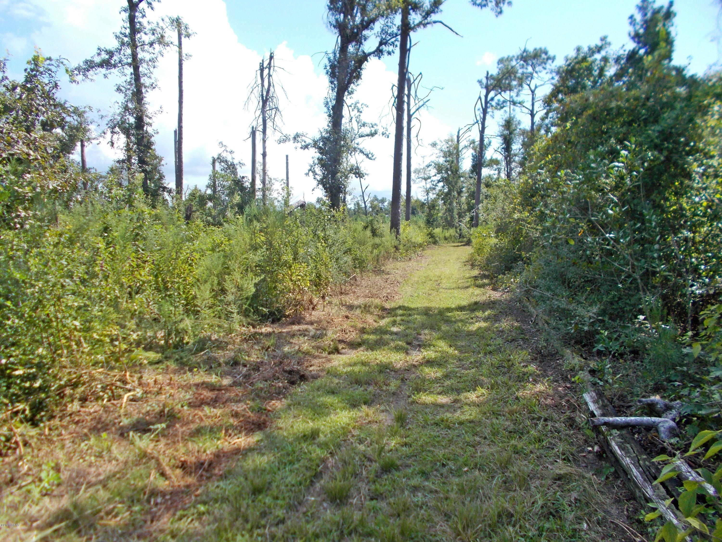 6620 Rainbow Road Grand Ridge, FL 32442 - Photo 7 of 9 Gallery Image 7