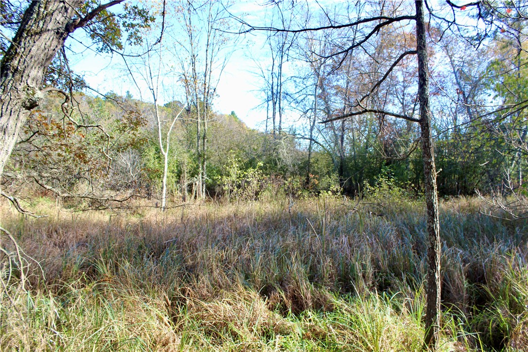 0 South Lowes Creek Road Eau Claire, WI 54701 - Photo 31 of 59