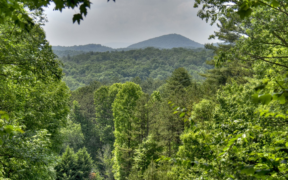 356 Locust Gap Road Mineral Bluff, GA 30559 - Photo 3 of 57 Additional View