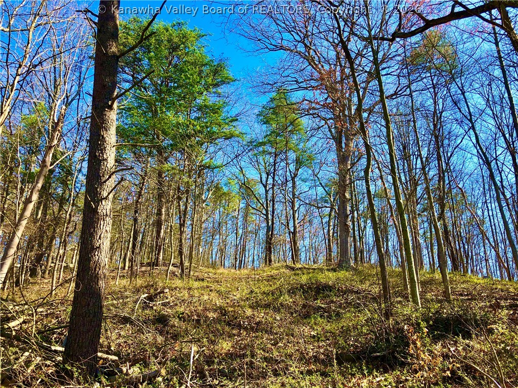 328 Kens Lake Estates Road Winfield, WV 25213 - Photo 7 of 14 Gallery Image 7