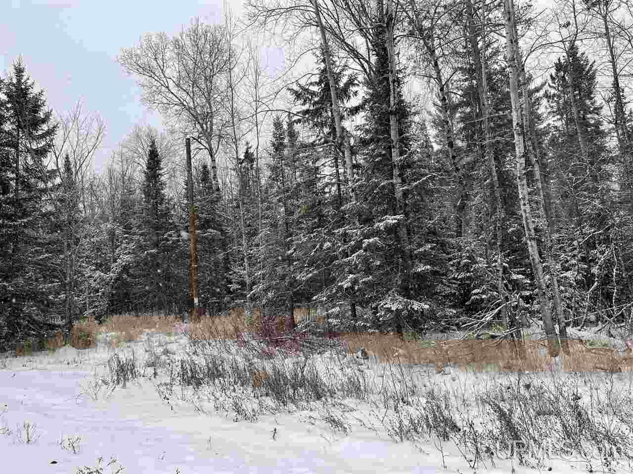 Tbd Vanderhagen Road Ironwood, MI 49938 - Photo 3 of 8