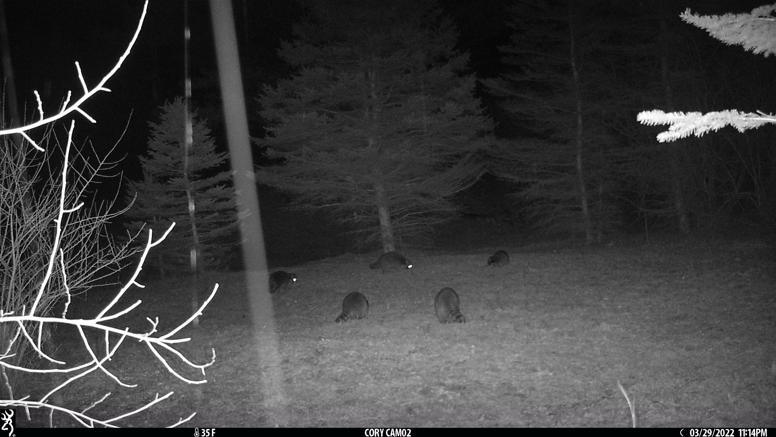 Tbd Carlson Road Sidney, MI 48885 - Photo 28 of 32