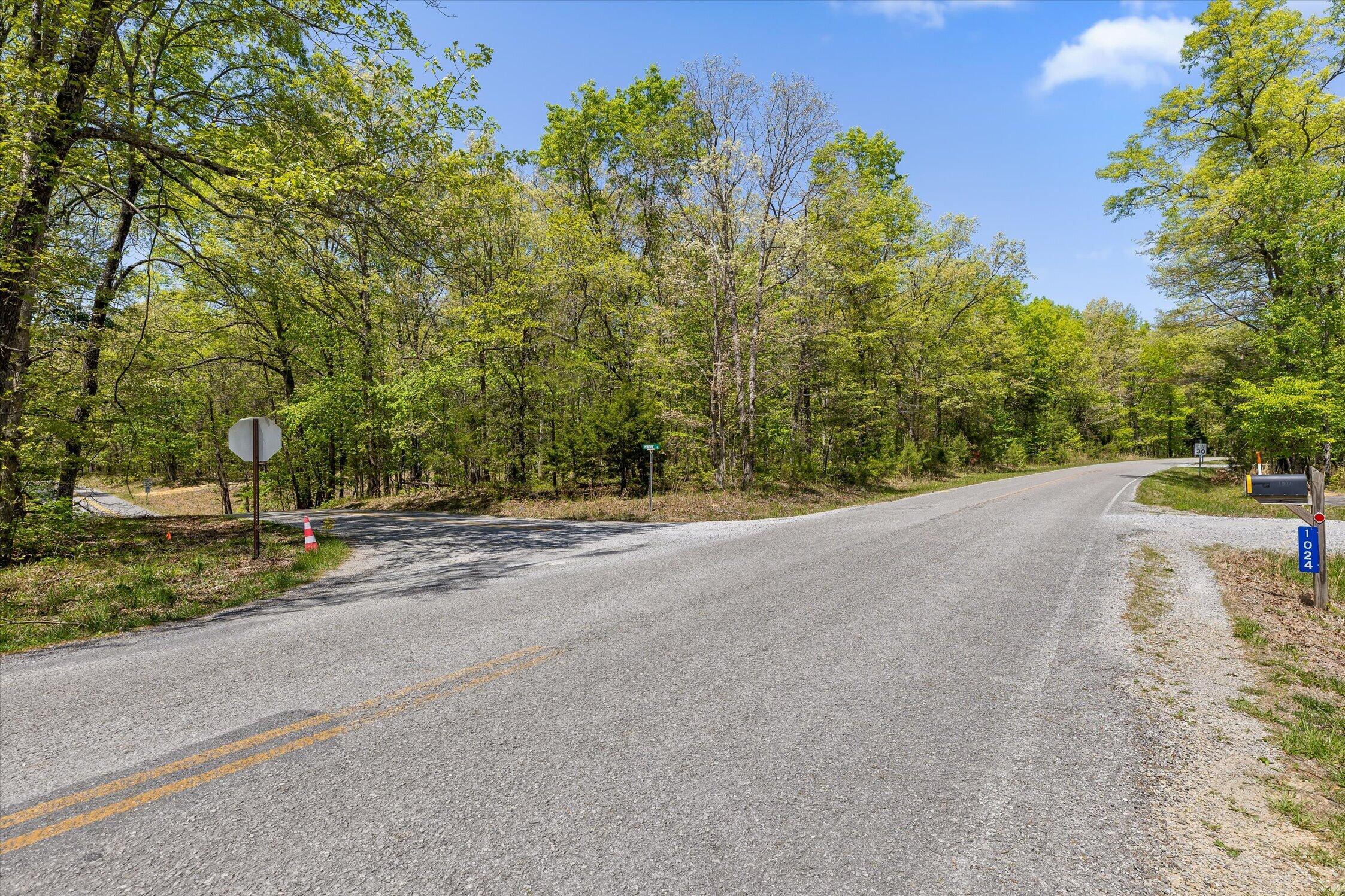 0 Deepwoods Road, Unit 4 Sewanee, TN 37375 - Photo 17 of 57 36-Deepwoods-36