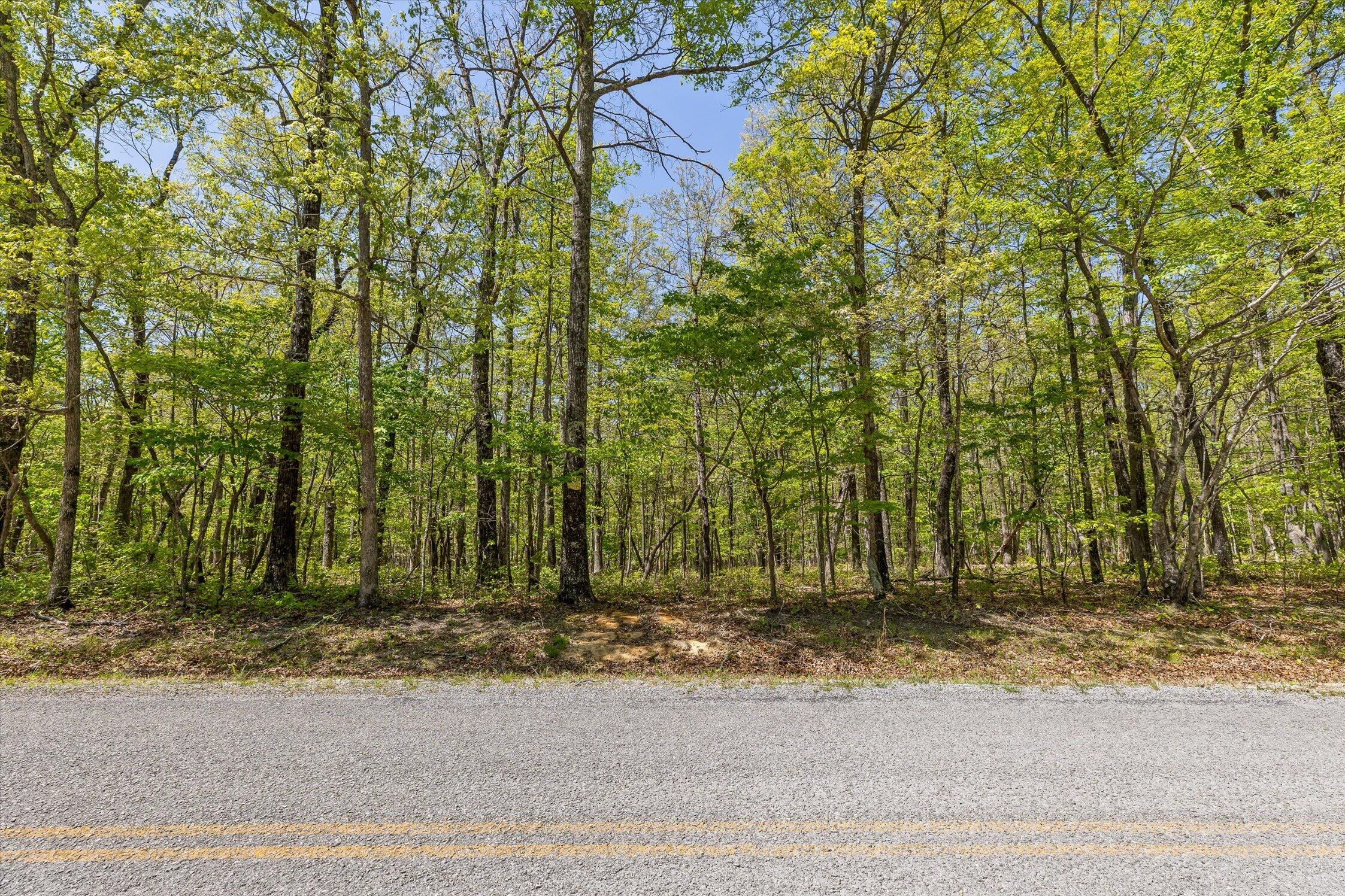 0 Deepwoods Road, Unit 4 Sewanee, TN 37375 - Photo 19 of 57 34-Deepwoods-34
