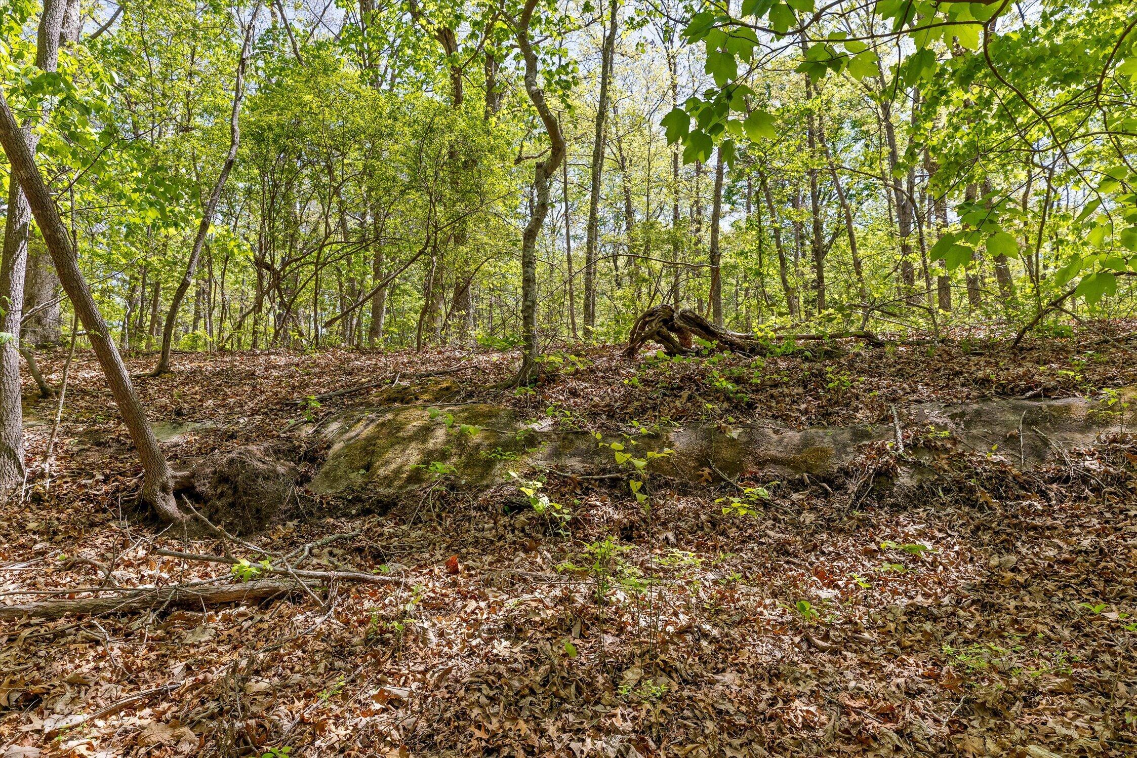 0 Deepwoods Road, Unit 4 Sewanee, TN 37375 - Photo 26 of 57 27-Deepwoods-27