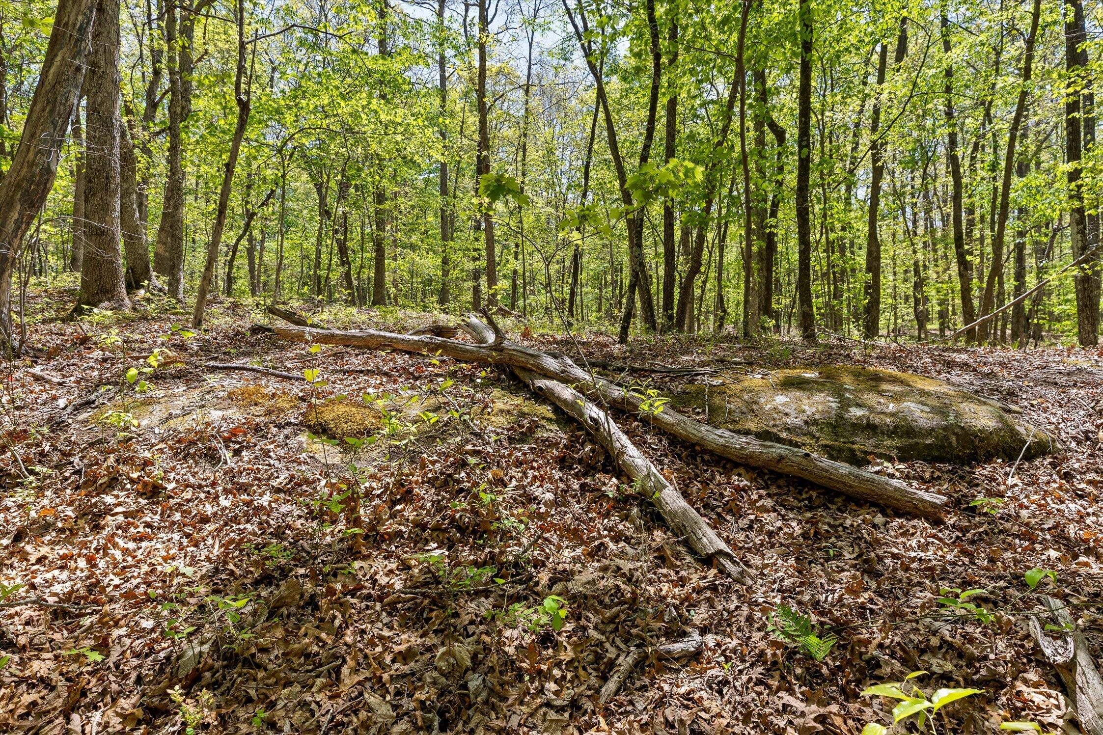 0 Deepwoods Road, Unit 4 Sewanee, TN 37375 - Photo 27 of 57 26-Deepwoods-26