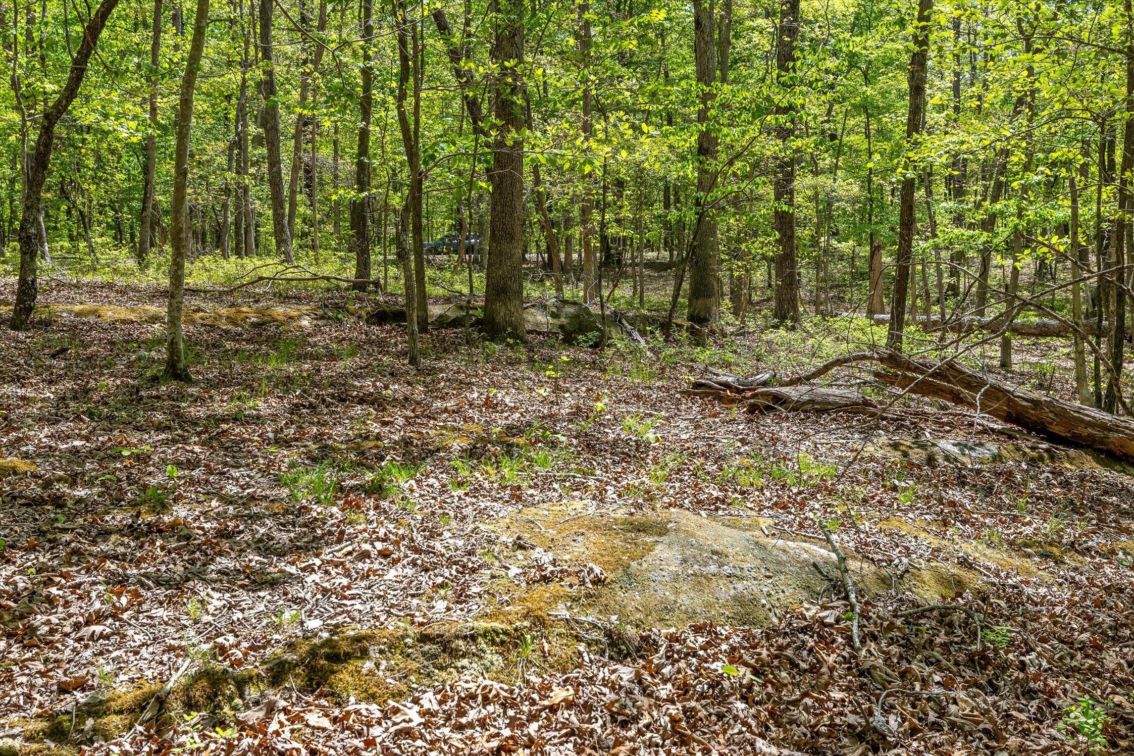 0 Deepwoods Road, Unit 4 Sewanee, TN 37375 - Photo 28 of 57 25-Deepwoods-25