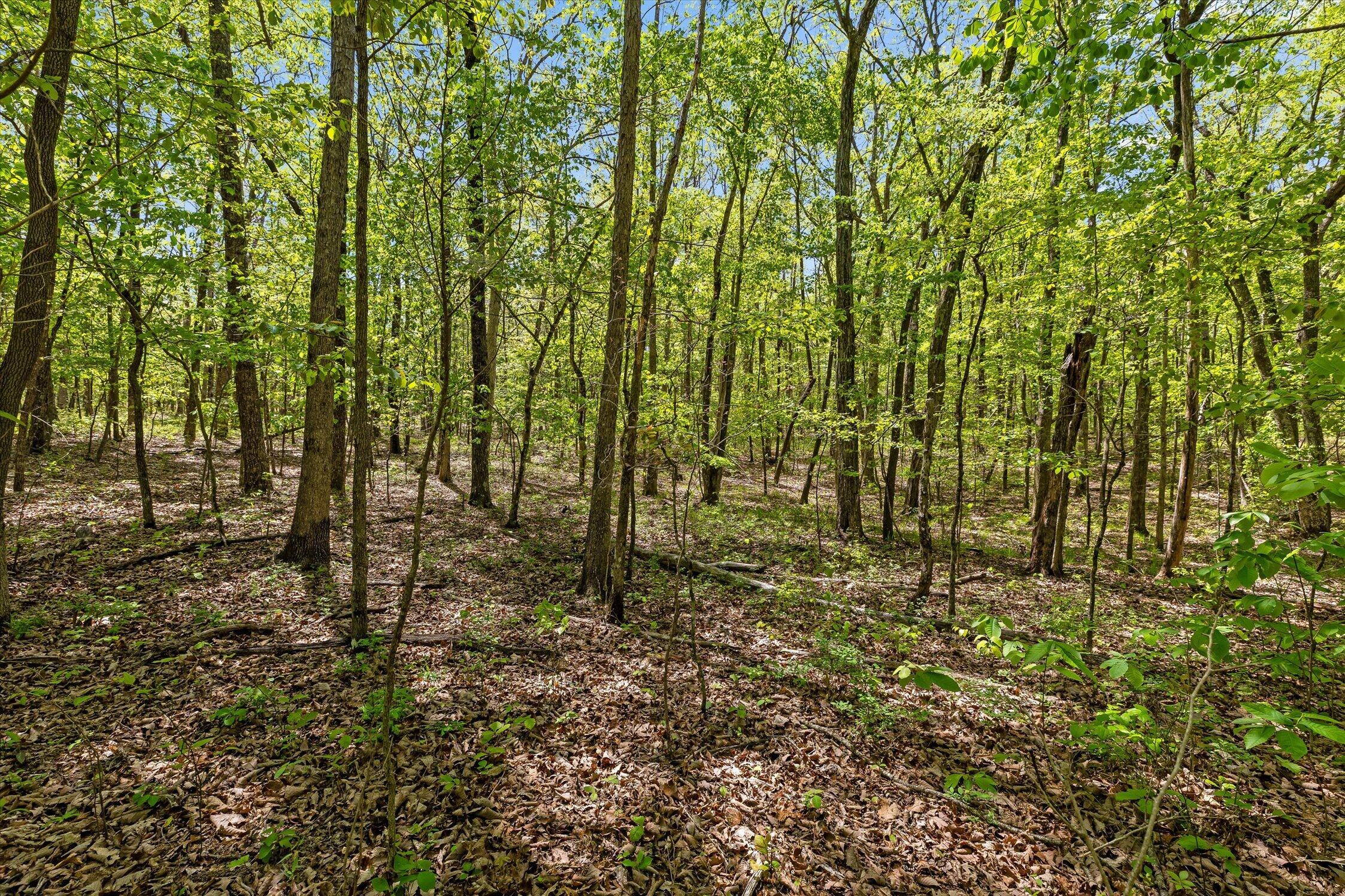 0 Deepwoods Road, Unit 4 Sewanee, TN 37375 - Photo 32 of 57 21-Deepwoods-21