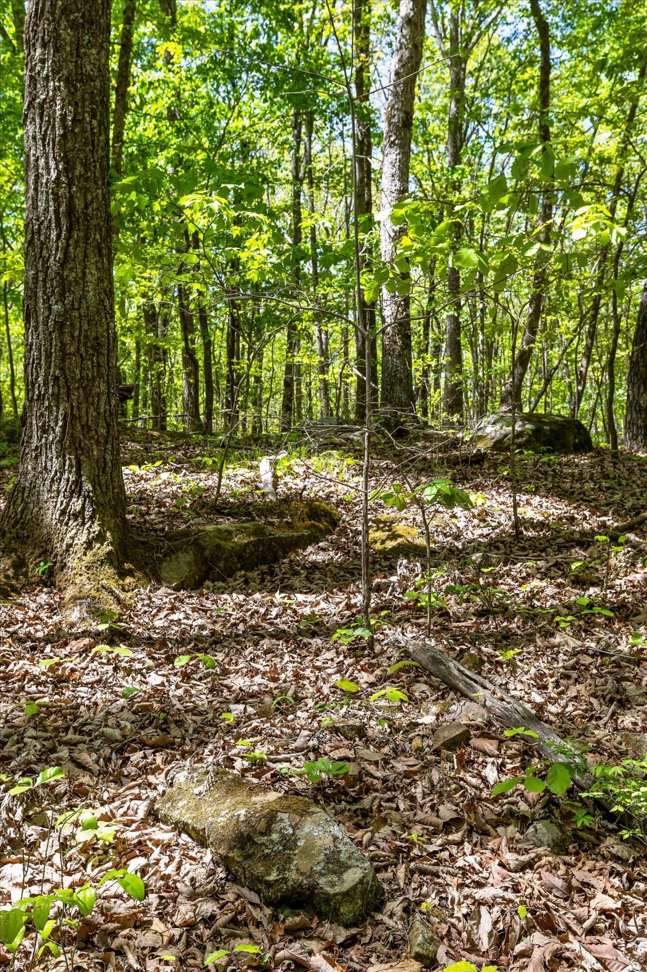 0 Deepwoods Road, Unit 4 Sewanee, TN 37375 - Photo 38 of 57 15-Deepwoods-15