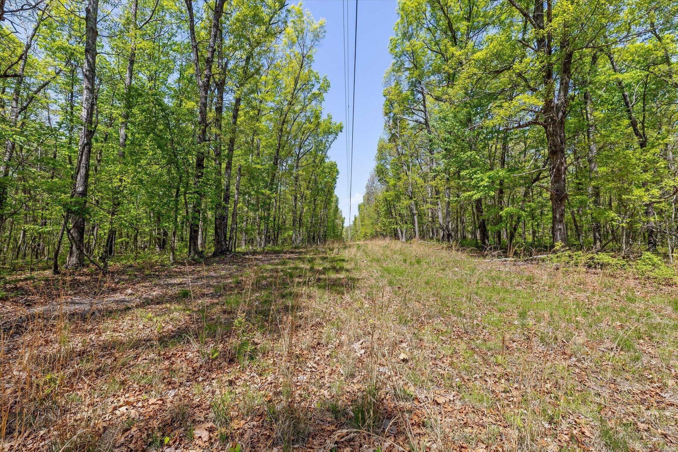 0 Deepwoods Road, Unit 4 Sewanee, TN 37375 - Photo 46 of 57 07-Deepwoods-7