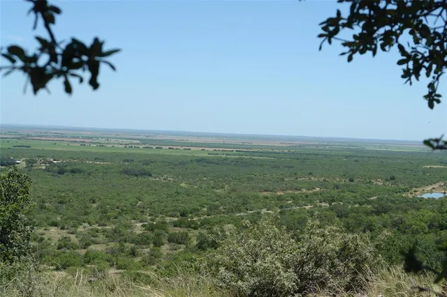 a view of a field with an ocean