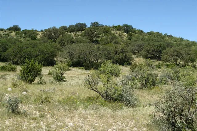 a view of a forest with a houses