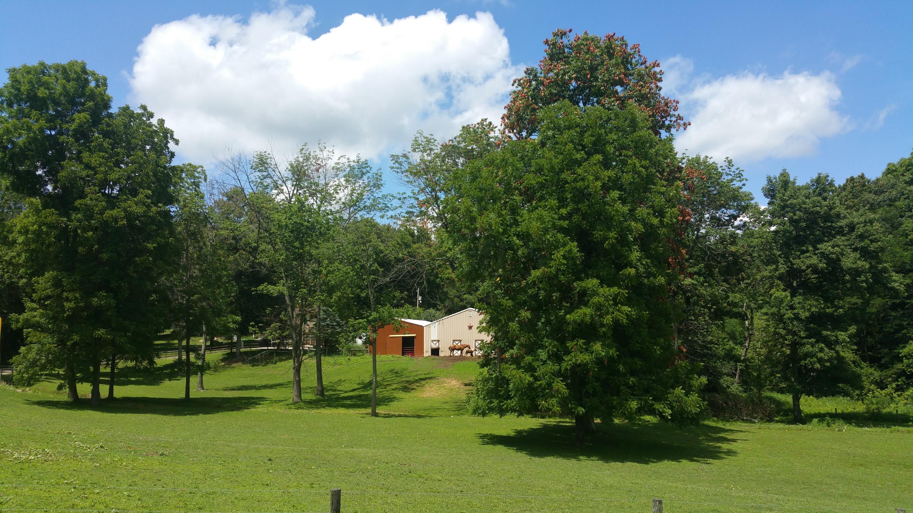 5635 Schoolhouse Road Dresden, OH 43821 - Photo 2 of 38