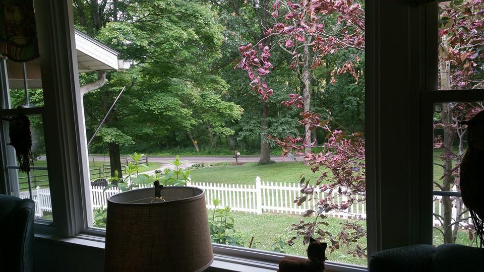 5635 Schoolhouse Road Dresden, OH 43821 - Photo 22 of 38
