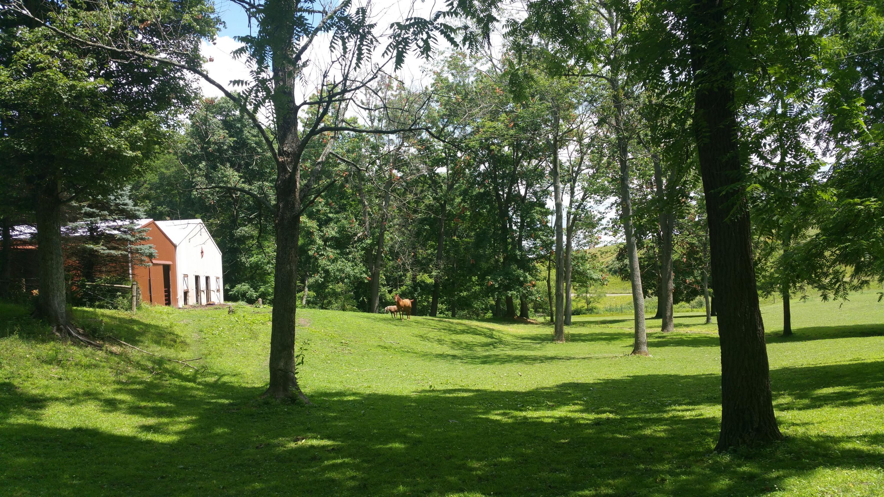 5635 Schoolhouse Road Dresden, OH 43821 - Photo 3 of 38