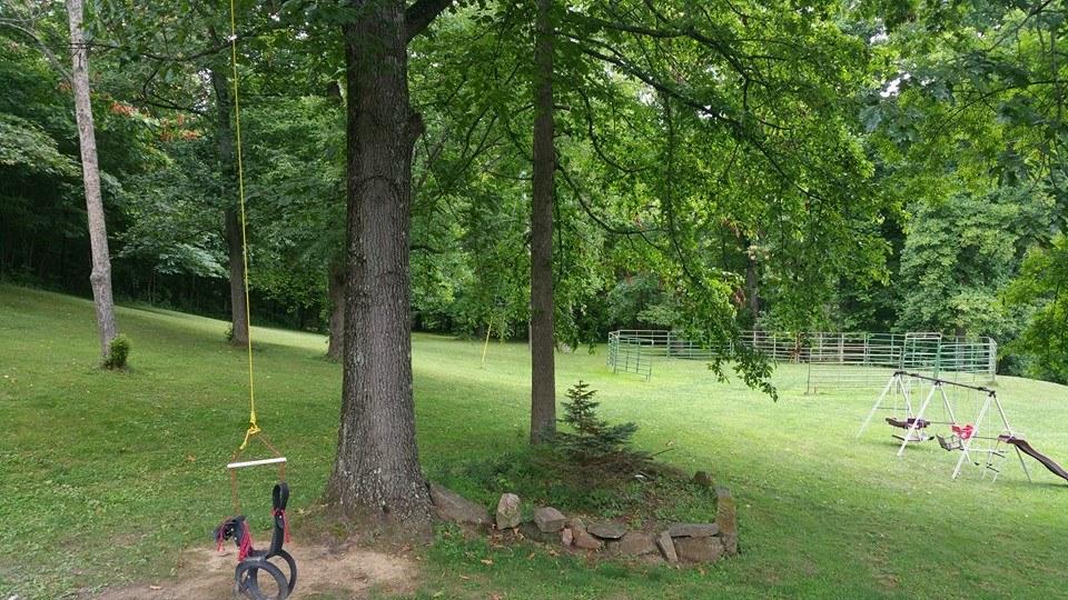 5635 Schoolhouse Road Dresden, OH 43821 - Photo 4 of 38