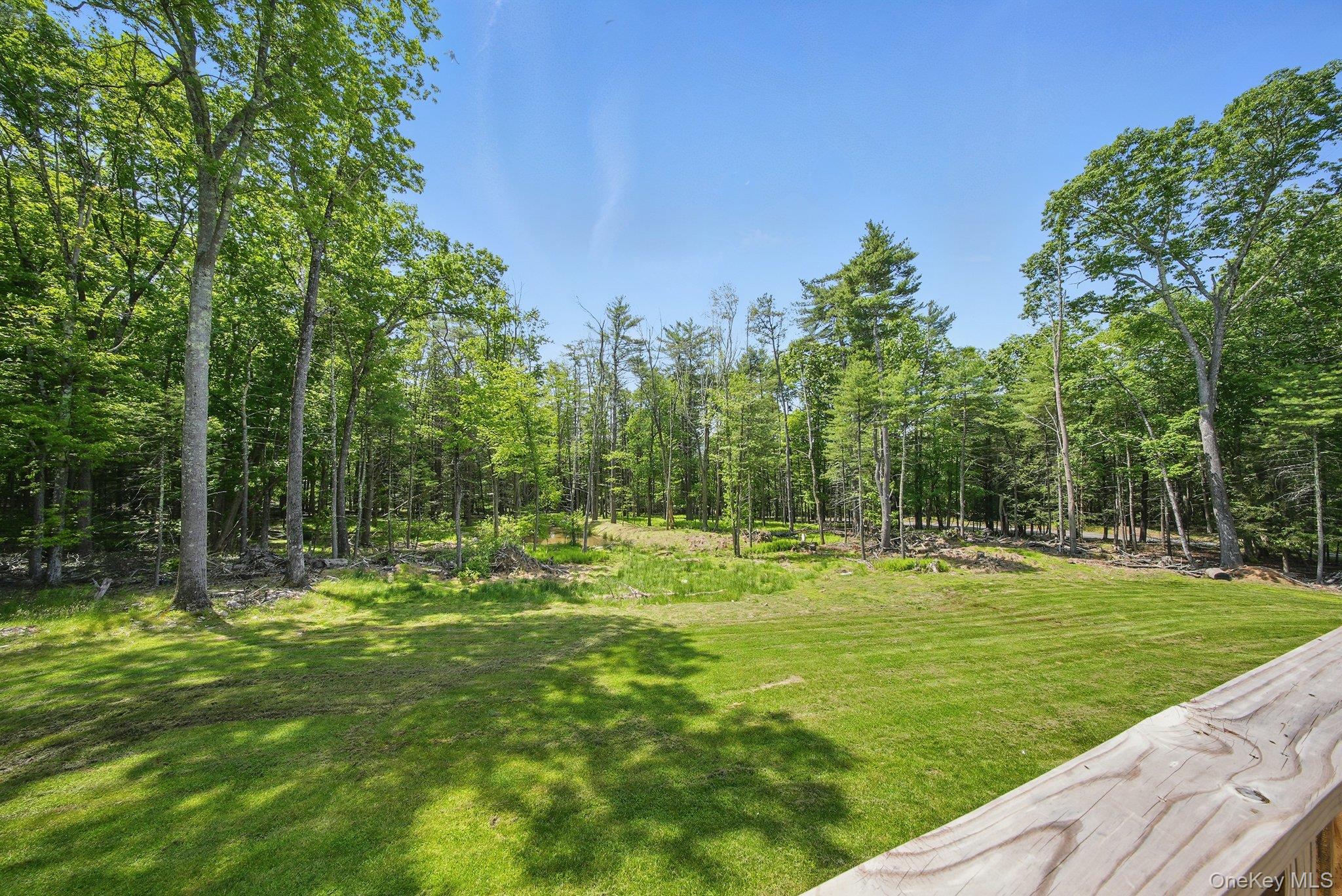 206 High Road Glen Spey, NY 12737 - Photo 36 of 42 a view of a park with large trees