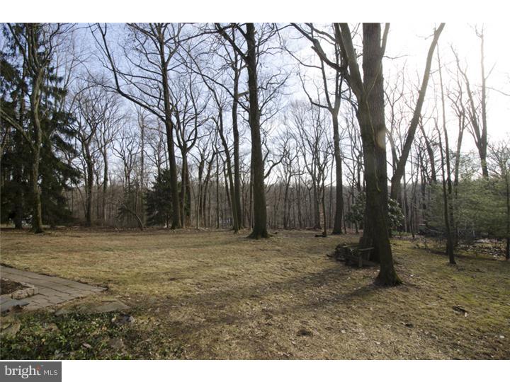 315 Greene Road Berwyn, PA 19312 - Photo 21 of 24 Back Yard