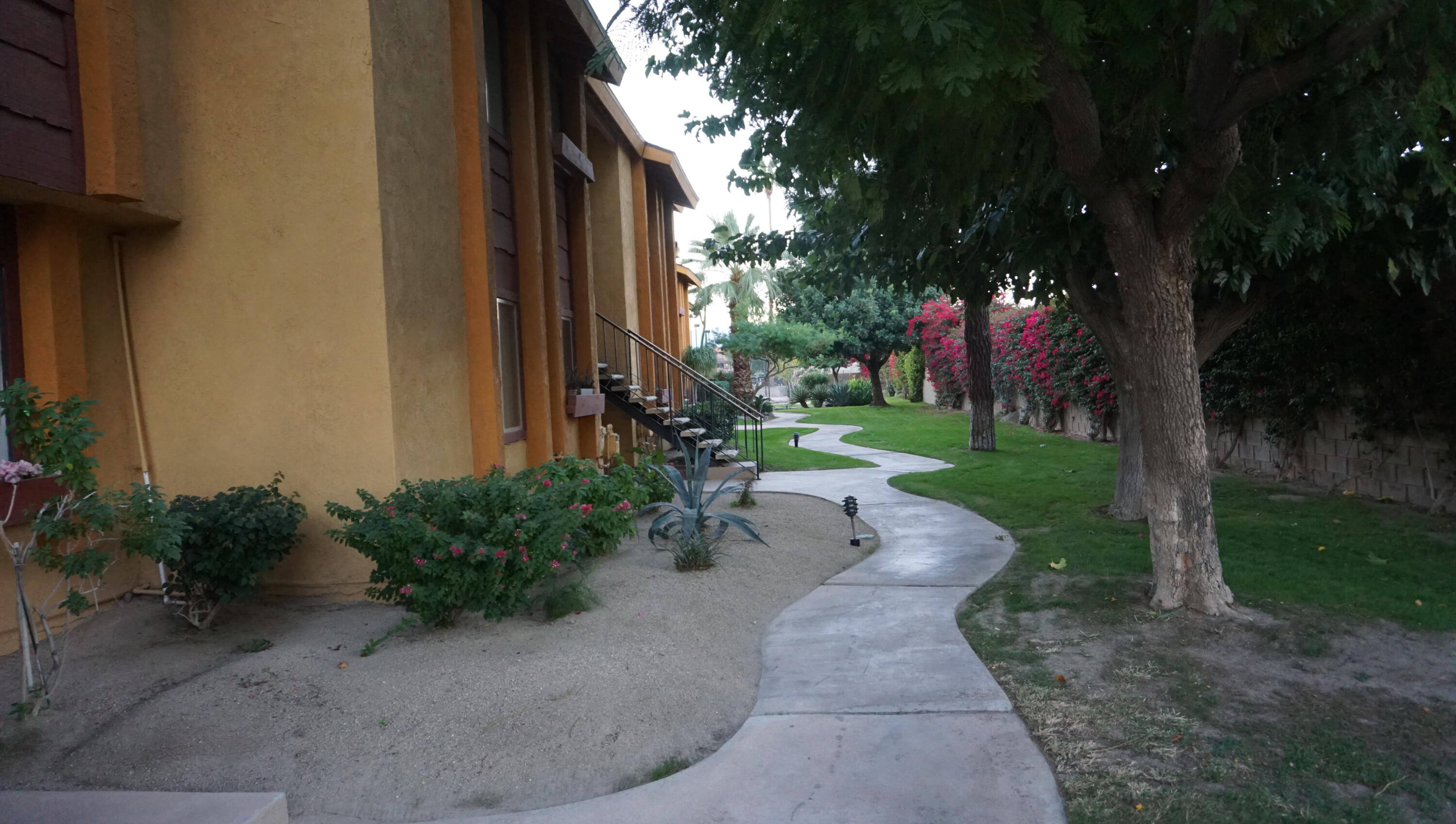 a backyard of a house with garden and trees