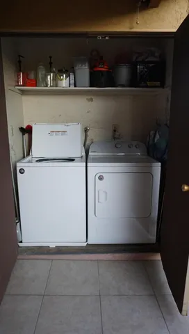 a view of a garden with plants and large trees