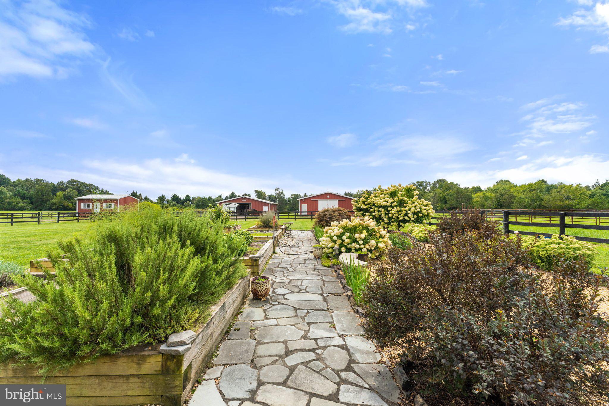 12292 Mitchell Road Mitchells, VA 22729 - Photo 2 of 71