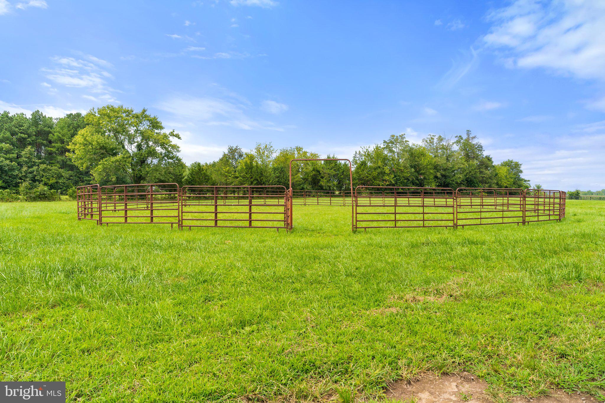 12292 Mitchell Road Mitchells, VA 22729 - Photo 26 of 71