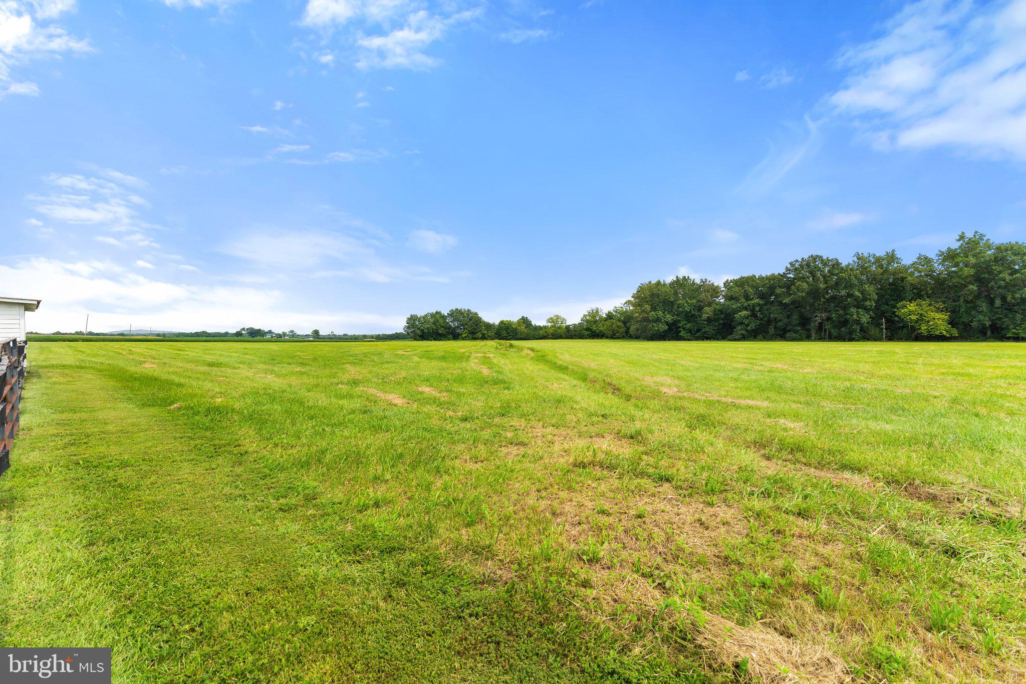 12292 Mitchell Road Mitchells, VA 22729 - Photo 27 of 71