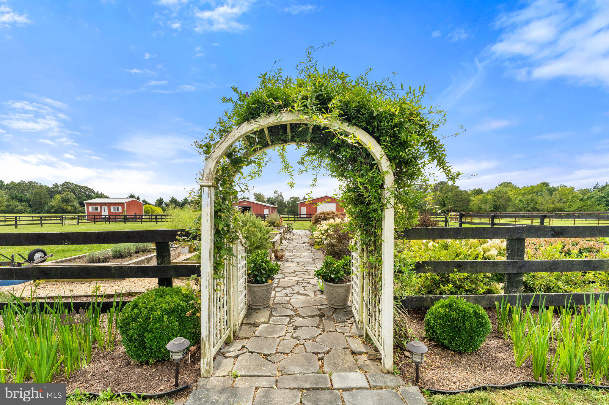 12292 Mitchell Road Mitchells, VA 22729 - Photo 29 of 71