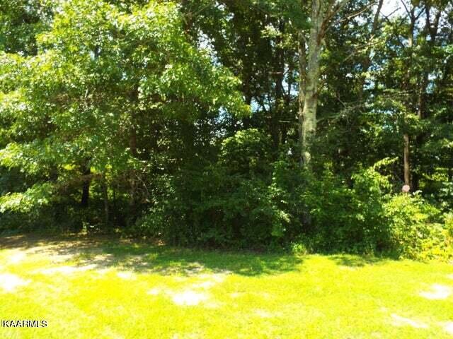 3 Four Four Mile Creek Road Deer Lodge, TN 37726 - Photo 12 of 14 20230731184505956454000000-o