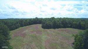 3 Four Four Mile Creek Road Deer Lodge, TN 37726 - Photo 6 of 14 20230731183359090659000000